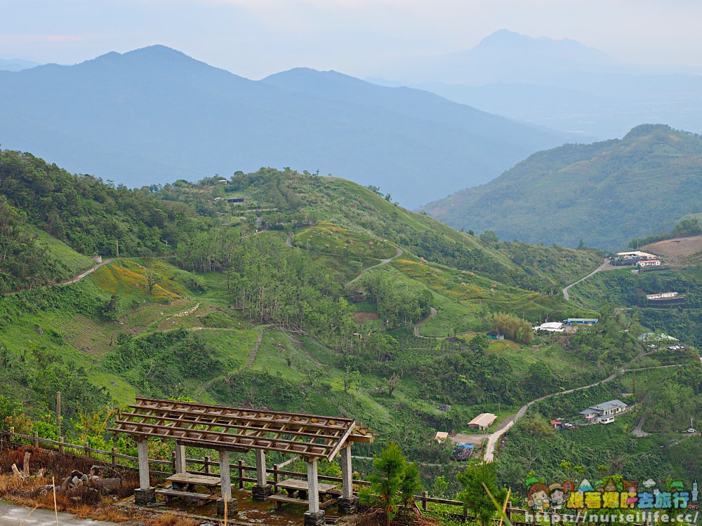 台東、太麻里｜金針山忘憂谷、雙乳峰、吳忠憲賞花區–夏日隨著金黃褪去而離開 - nurseilife.cc