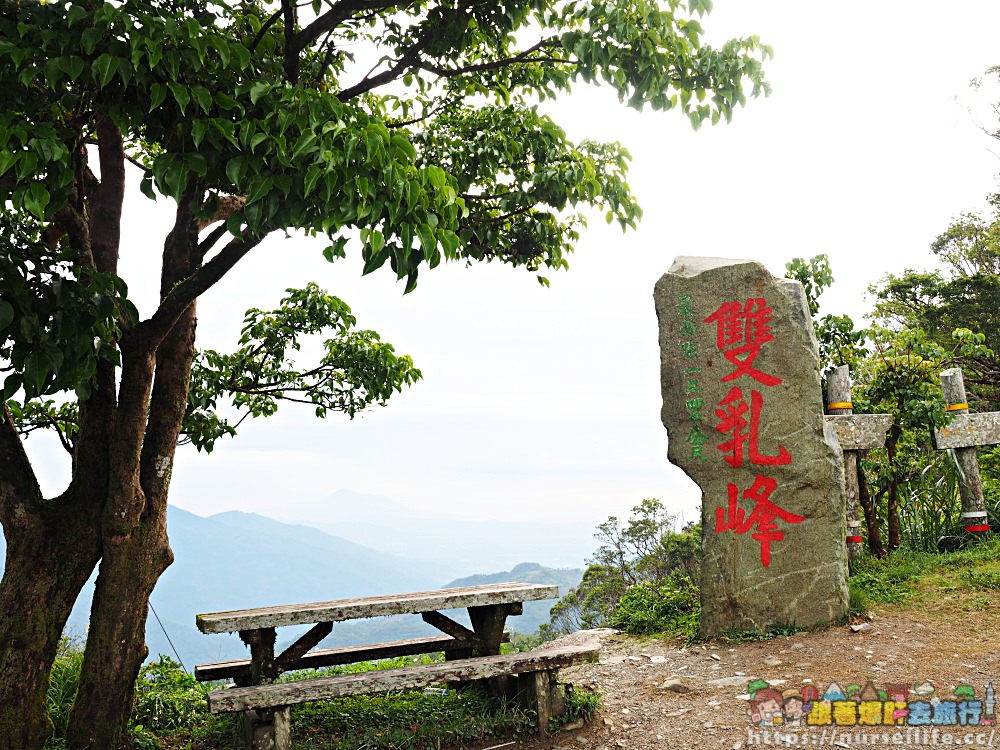 台東、太麻里｜金針山忘憂谷、雙乳峰、吳忠憲賞花區–夏日隨著金黃褪去而離開 - nurseilife.cc