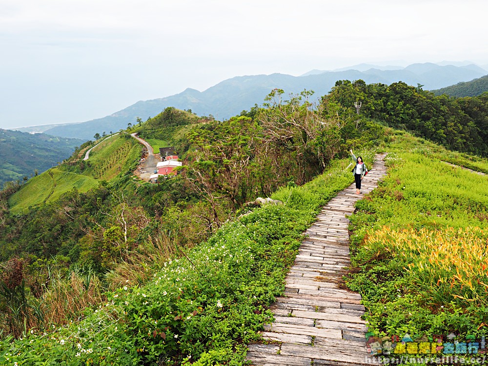 台東、太麻里｜金針山忘憂谷、雙乳峰、吳忠憲賞花區–夏日隨著金黃褪去而離開 - nurseilife.cc