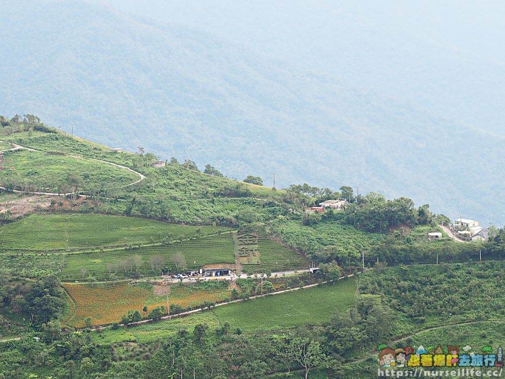 台東、太麻里｜金針山忘憂谷、雙乳峰、吳忠憲賞花區–夏日隨著金黃褪去而離開 - nurseilife.cc