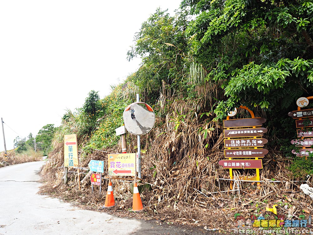 台東、太麻里｜金針山忘憂谷、雙乳峰、吳忠憲賞花區–夏日隨著金黃褪去而離開 - nurseilife.cc