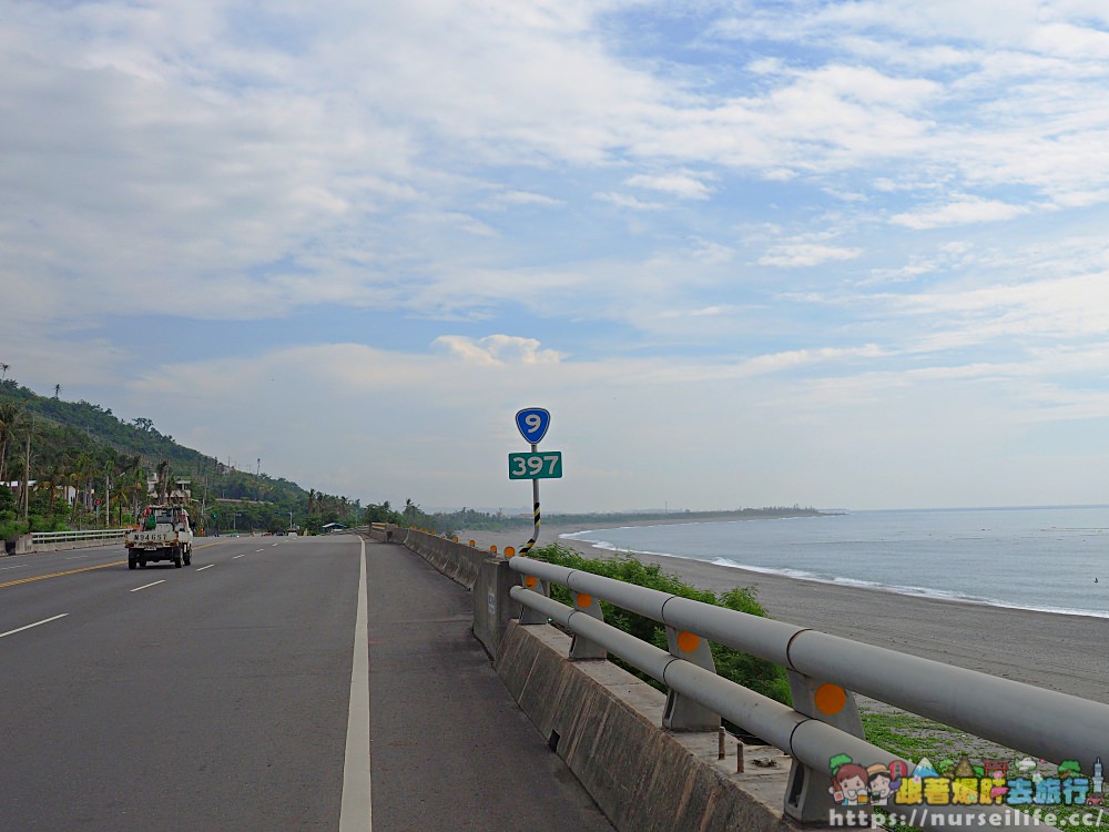 台東、太麻里｜金針山忘憂谷、雙乳峰、吳忠憲賞花區–夏日隨著金黃褪去而離開 - nurseilife.cc