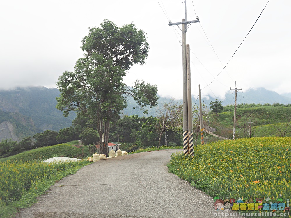 花蓮、玉里｜赤科山．凝望迷人金針花海憂愁頓逝 - nurseilife.cc