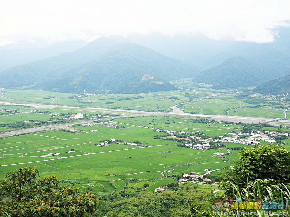 花蓮、富里｜六十石山．在天空之城一覽被染黃的大地 - nurseilife.cc