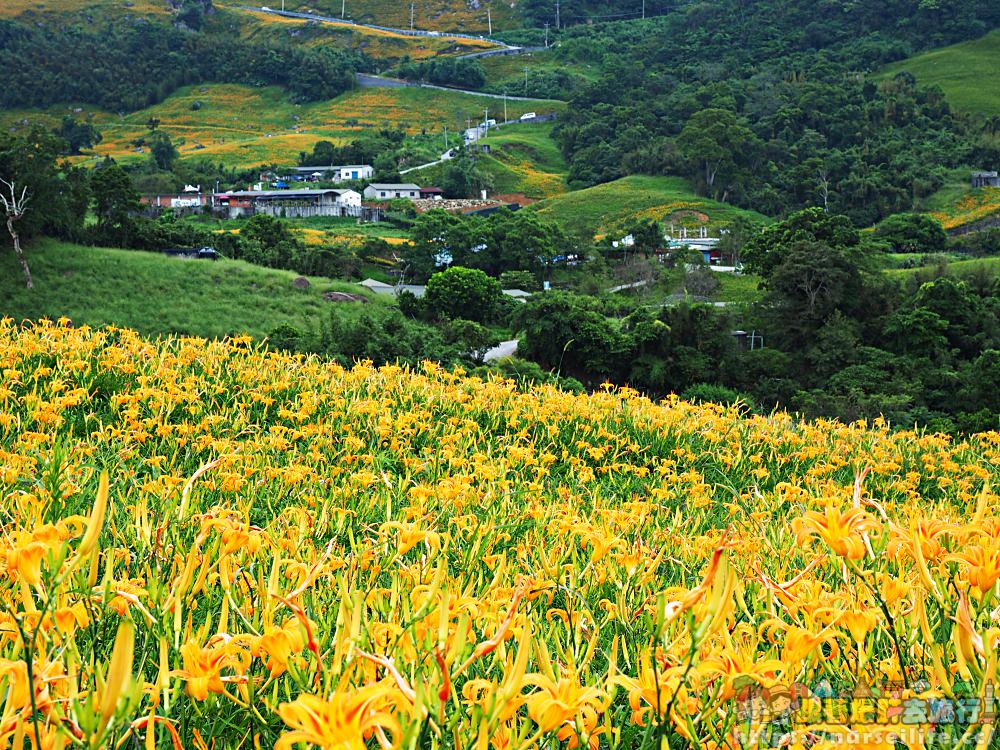 花蓮、富里｜六十石山．在天空之城一覽被染黃的大地 - nurseilife.cc