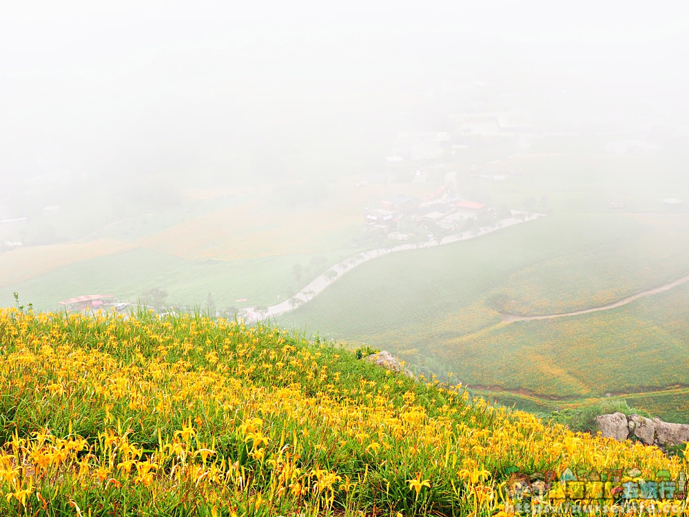 花蓮、富里｜六十石山．在天空之城一覽被染黃的大地 - nurseilife.cc