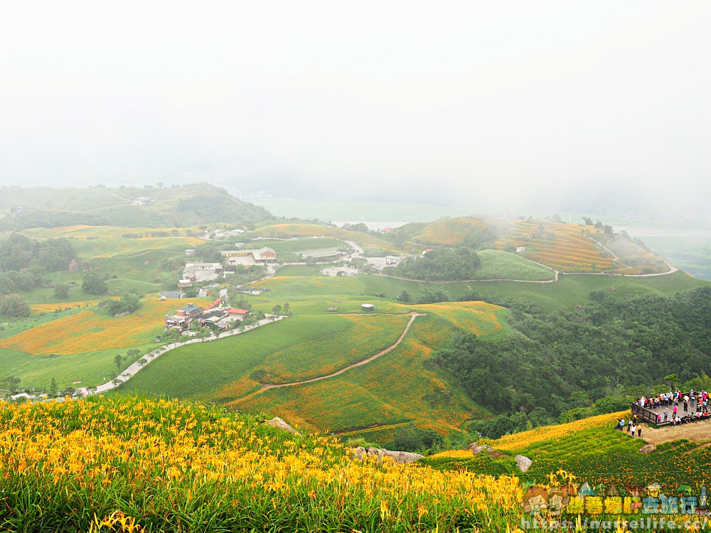 金針山、赤柯山、六十石山．花東縱谷金針花之旅 - nurseilife.cc