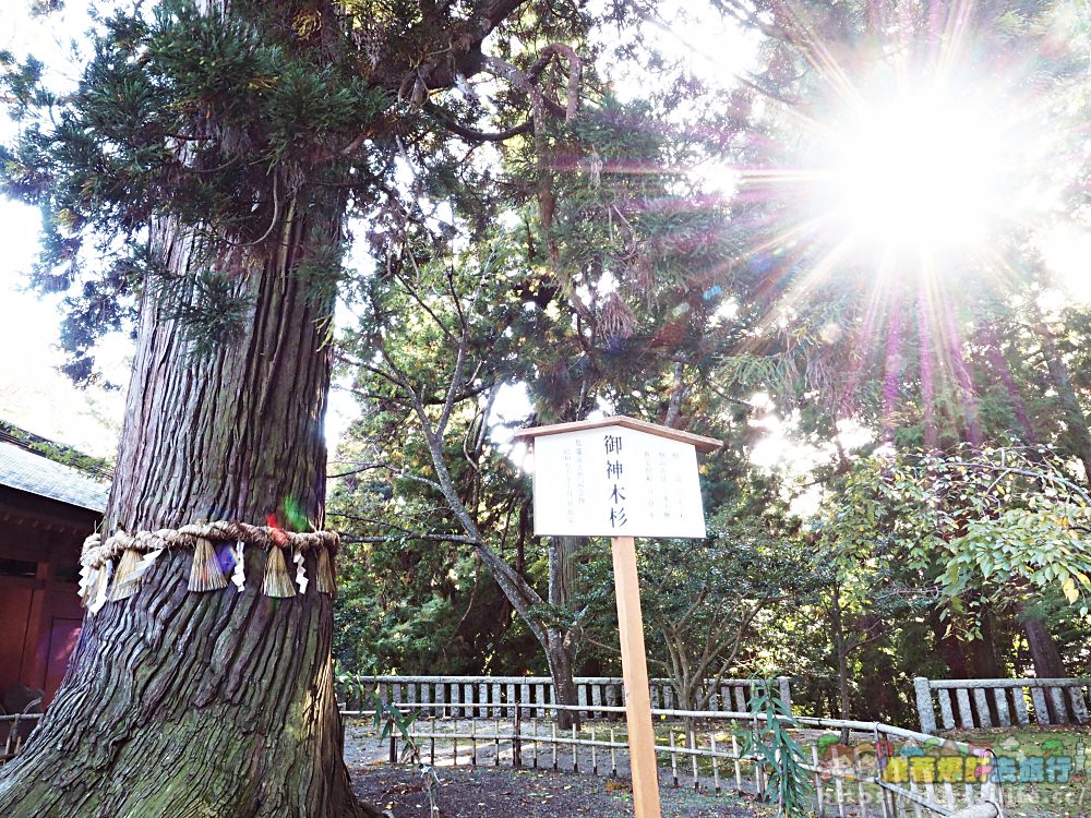 宮城｜志波彦神社・鹽竈神社 - nurseilife.cc