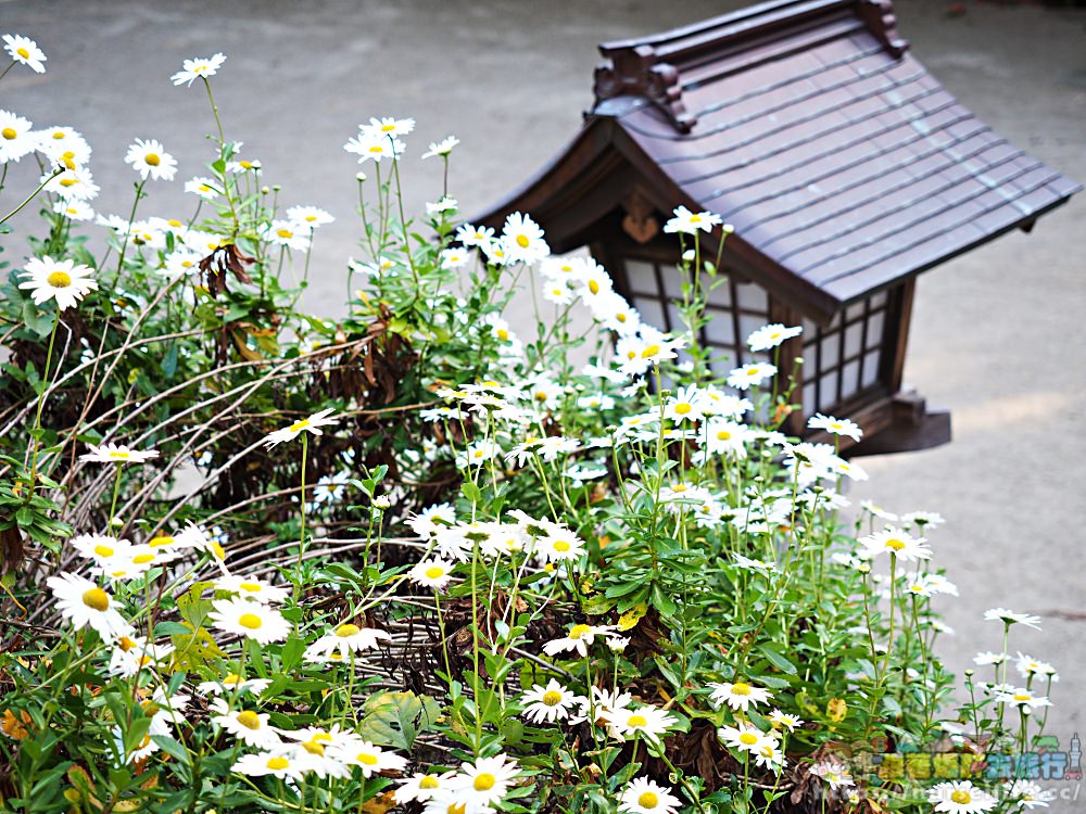 宮城｜志波彦神社・鹽竈神社 - nurseilife.cc