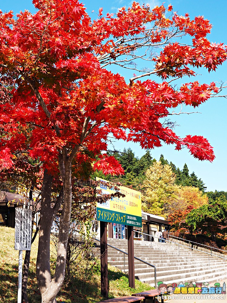 岩手｜東北自動道紫波SA．最美楓紅休息站 - nurseilife.cc