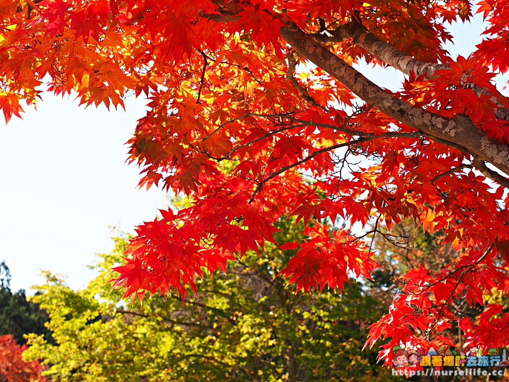 岩手｜東北自動道紫波SA．最美楓紅休息站 - nurseilife.cc