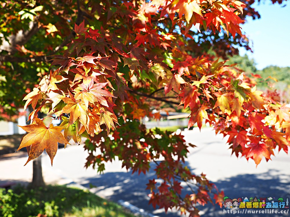 岩手｜東北自動道紫波SA．最美楓紅休息站 - nurseilife.cc