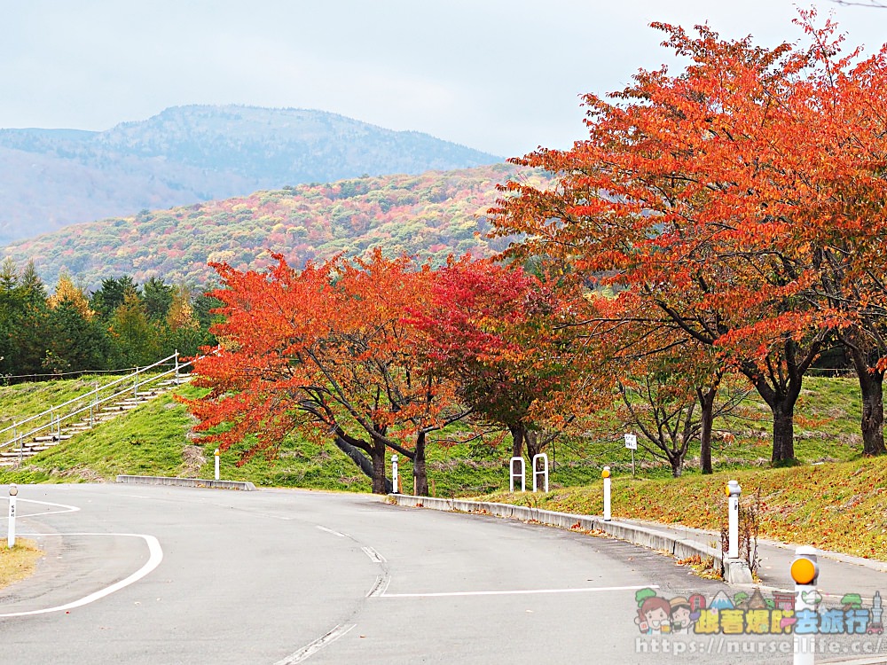 岩手｜八幡平、松川溪谷、森之大橋．沿路楓紅美翻整群人 - nurseilife.cc