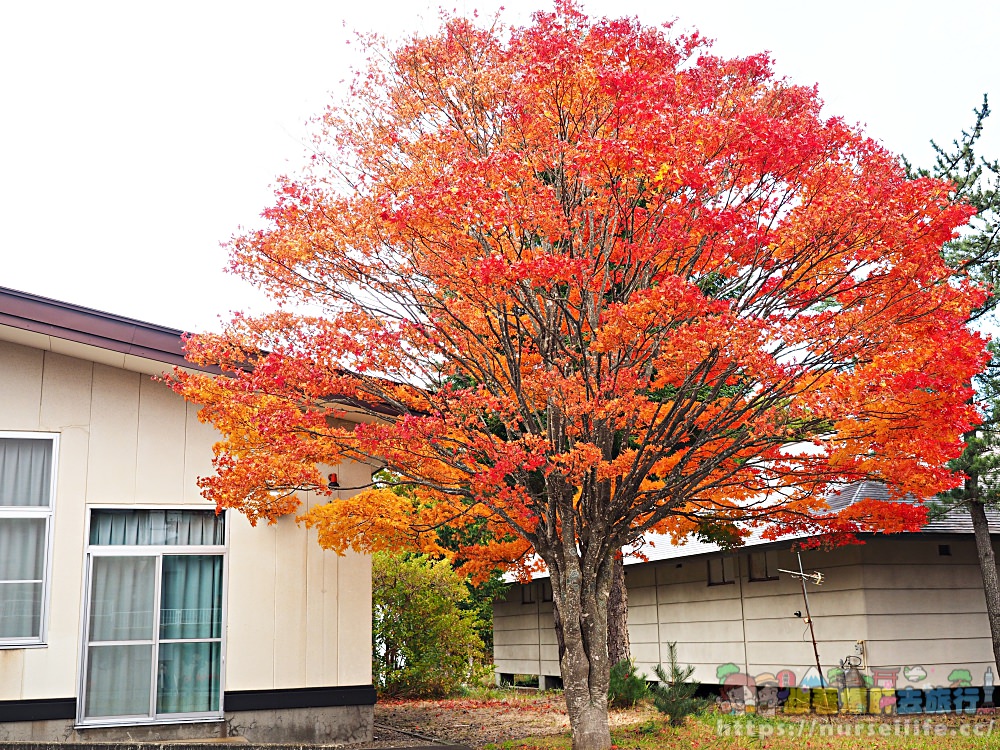 岩手｜八幡平、松川溪谷、森之大橋．沿路楓紅美翻整群人 - nurseilife.cc