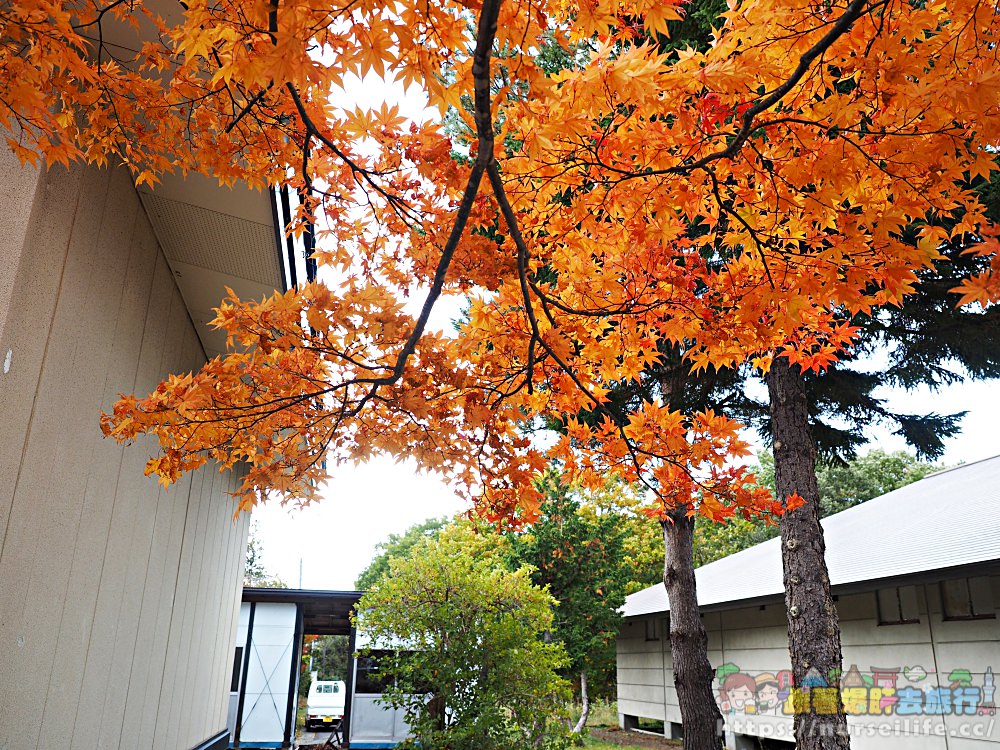 岩手｜八幡平、松川溪谷、森之大橋．沿路楓紅美翻整群人 - nurseilife.cc