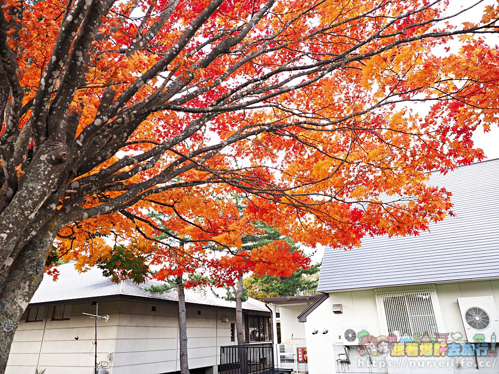 岩手｜八幡平、松川溪谷、森之大橋．沿路楓紅美翻整群人 - nurseilife.cc