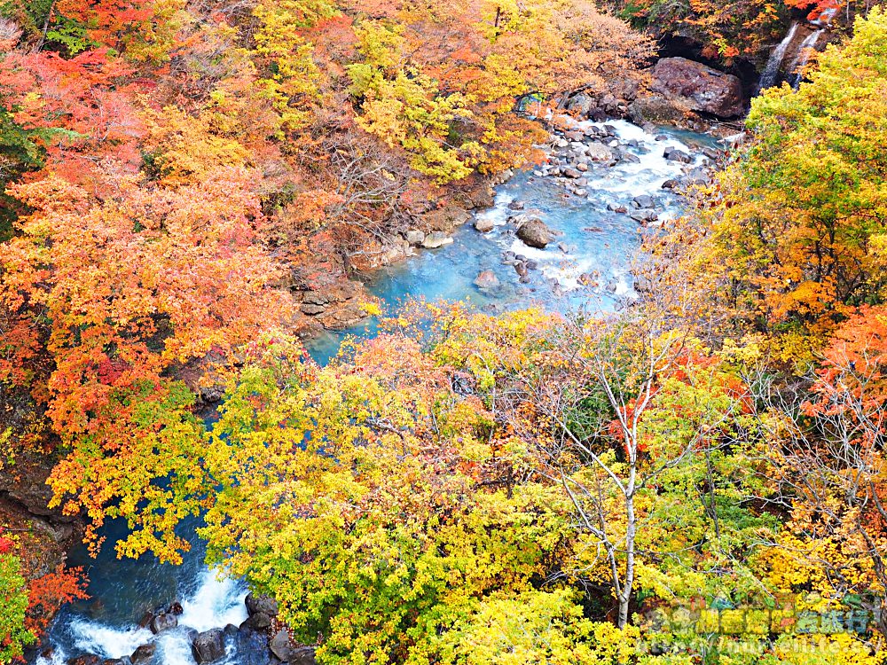 岩手｜八幡平、松川溪谷、森之大橋．沿路楓紅美翻整群人 - nurseilife.cc