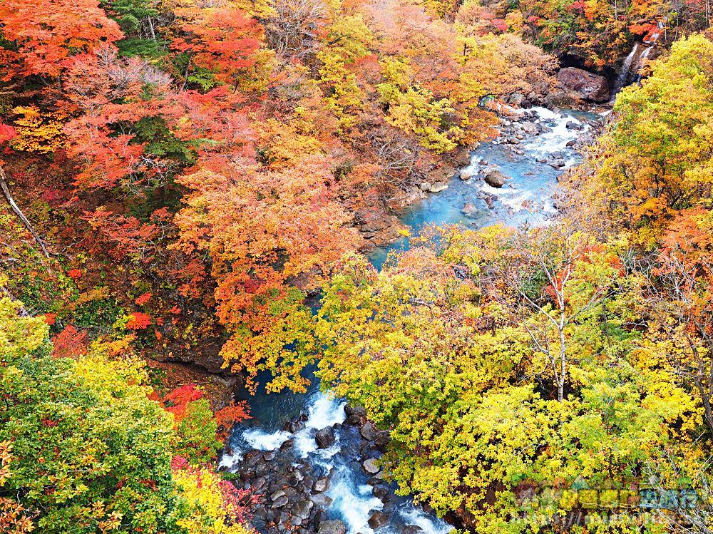 岩手｜八幡平、松川溪谷、森之大橋．沿路楓紅美翻整群人 - nurseilife.cc