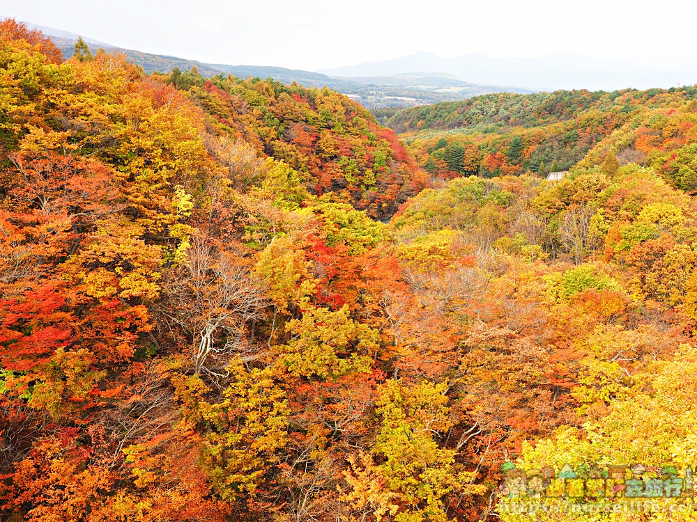 岩手｜八幡平、松川溪谷、森之大橋．沿路楓紅美翻整群人 - nurseilife.cc