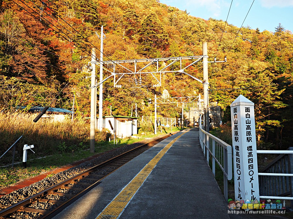 山形｜面白山紅葉川溪谷．隱藏觀音坐看繽紛山谷 - nurseilife.cc