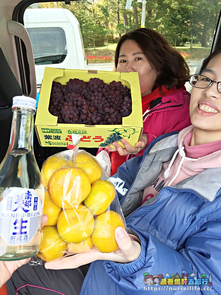 日本東北偽賞楓真購物玩扭蛋之旅（好險搭台灣虎航還可以加買行李） - nurseilife.cc