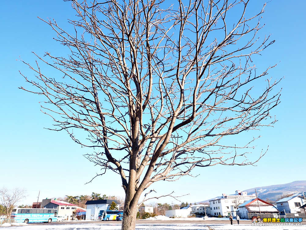 北海道大沼國定公園散策．凝望湖面我找到了心靈上寧靜 - nurseilife.cc