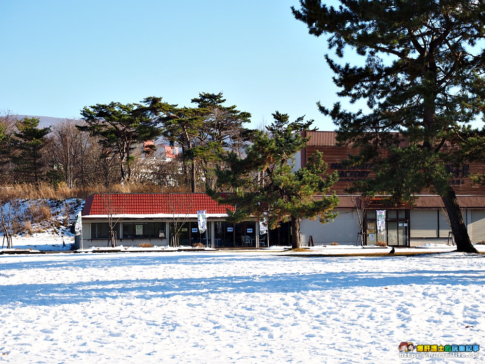 北海道大沼國定公園散策．凝望湖面我找到了心靈上寧靜 - nurseilife.cc