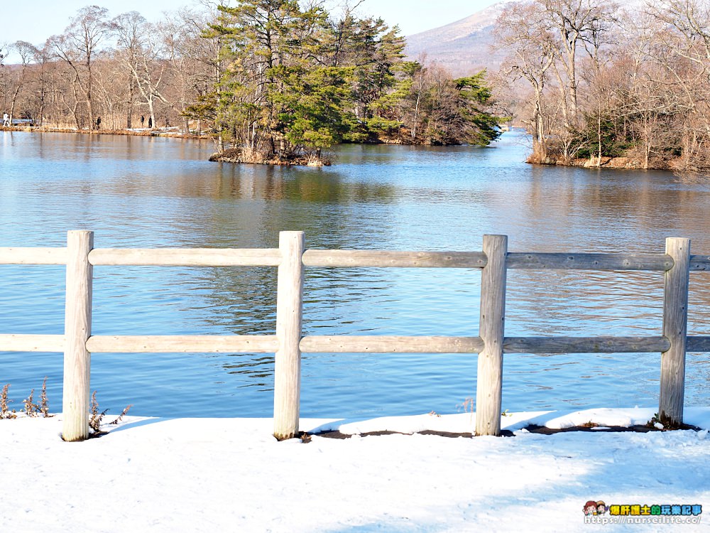 北海道大沼國定公園散策．凝望湖面我找到了心靈上寧靜 - nurseilife.cc