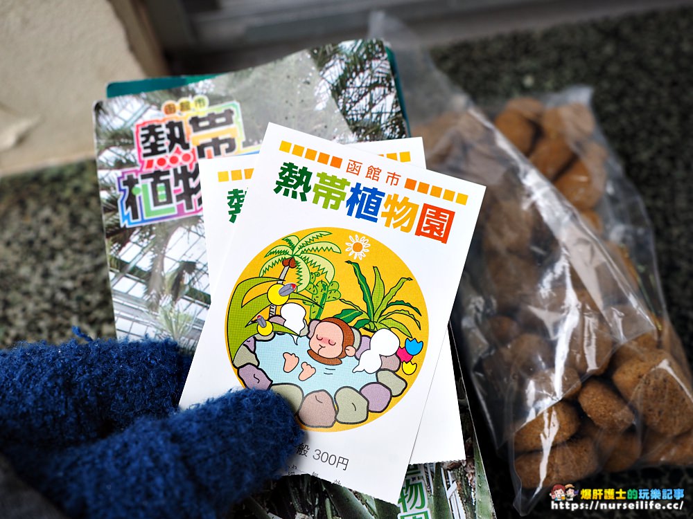 函館熱帶植物園｜冬天限定．猴子泡溫泉 - nurseilife.cc