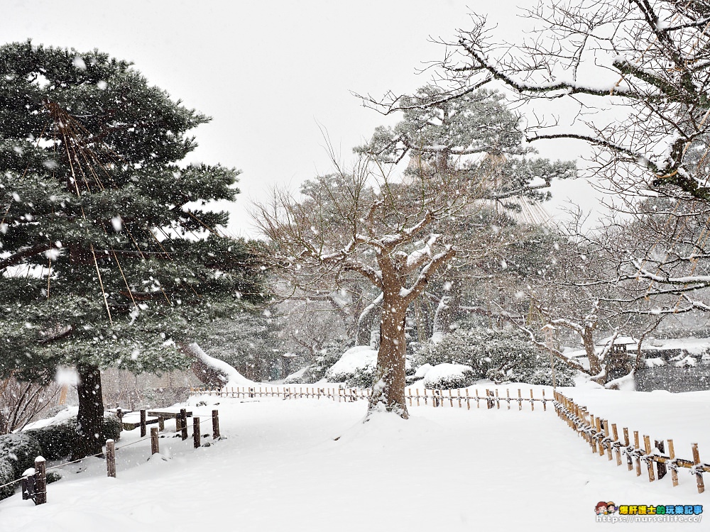 石川、金澤｜兼六園雪景．想與你牽手漫步在詩情畫意裡 - nurseilife.cc