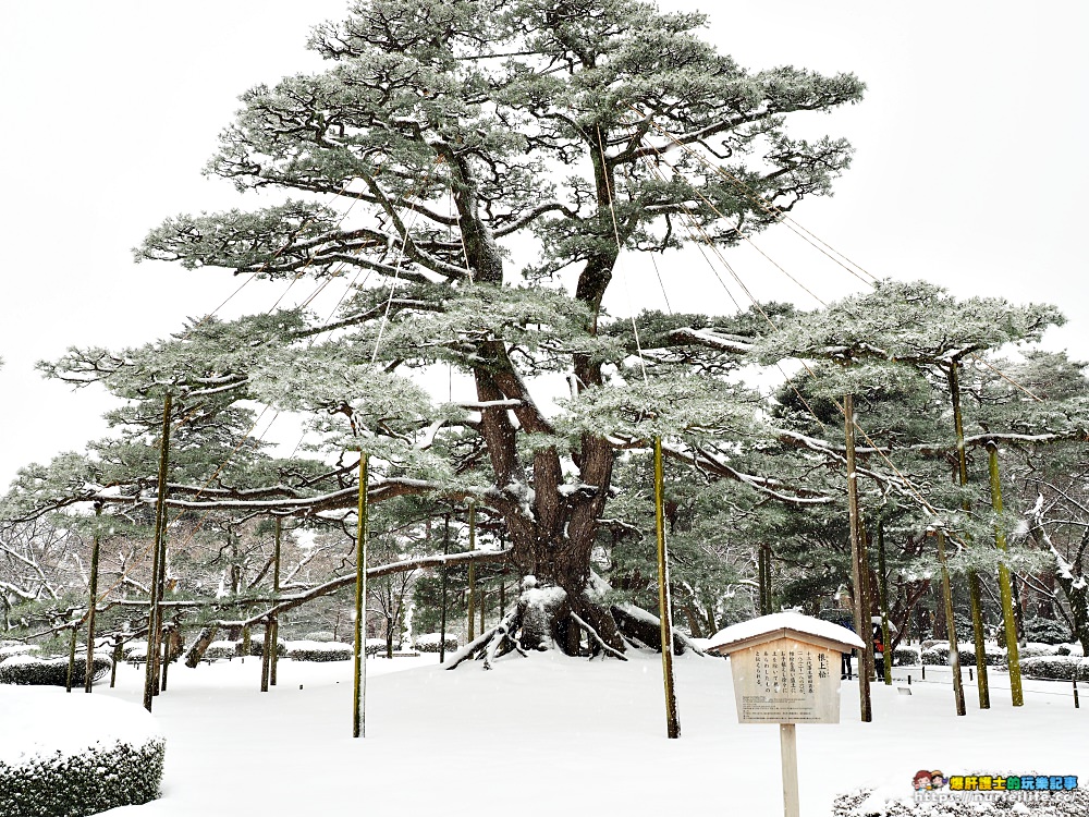 石川、金澤｜兼六園雪景．想與你牽手漫步在詩情畫意裡 - nurseilife.cc