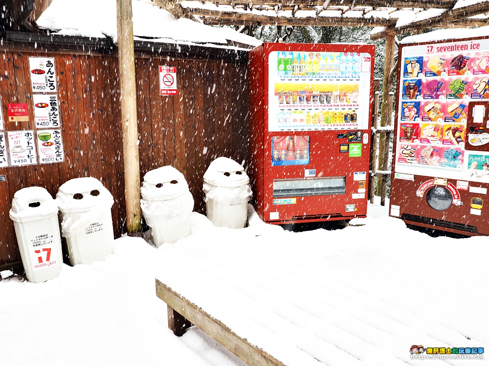 石川、金澤｜兼六園雪景．想與你牽手漫步在詩情畫意裡 - nurseilife.cc