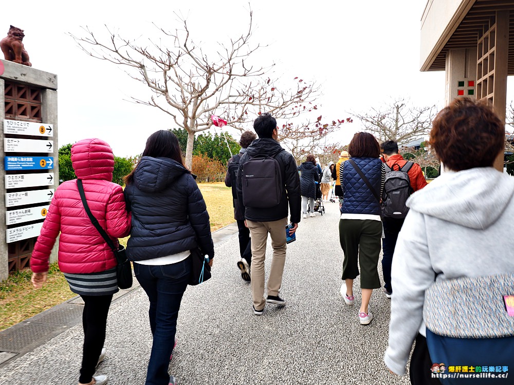 沖繩｜美麗海水族館（沖縄美ら海水族館）．如果沒來是不是少了些什麼？ - nurseilife.cc