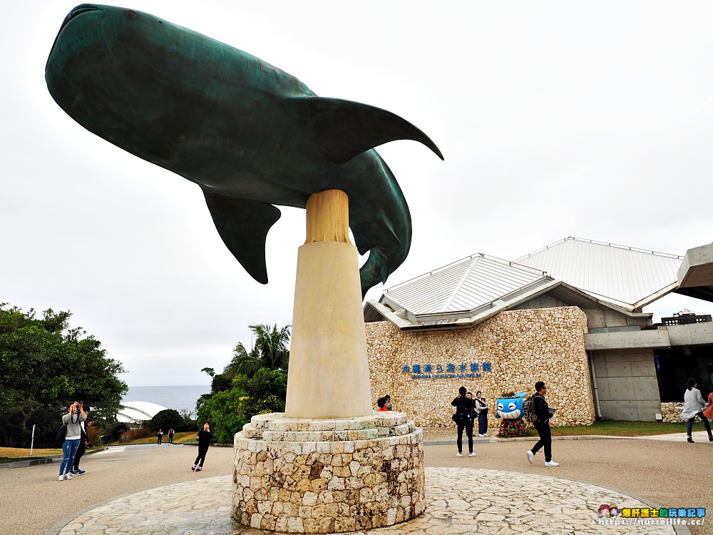 沖繩｜美麗海水族館（沖縄美ら海水族館）．如果沒來是不是少了些什麼？ - nurseilife.cc