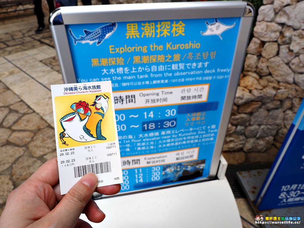 沖繩｜Hip-Hop觀光巴士．暢遊萬座毛、古宇利島、美海水族館、備瀨福木林道、御菓子御殿 - nurseilife.cc