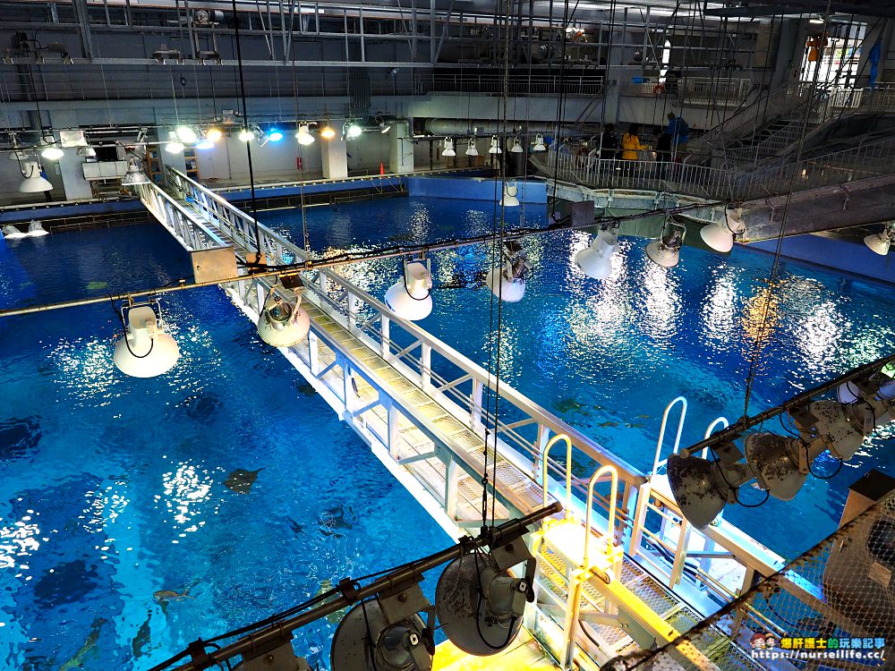 沖繩｜美麗海水族館（沖縄美ら海水族館）．如果沒來是不是少了些什麼？ - nurseilife.cc