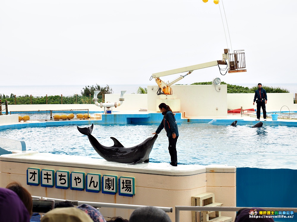 沖繩｜美麗海水族館（沖縄美ら海水族館）．如果沒來是不是少了些什麼？ - nurseilife.cc