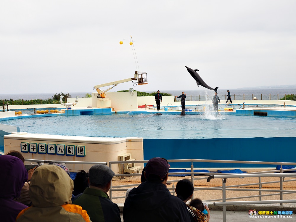 沖繩｜美麗海水族館（沖縄美ら海水族館）．如果沒來是不是少了些什麼？ - nurseilife.cc