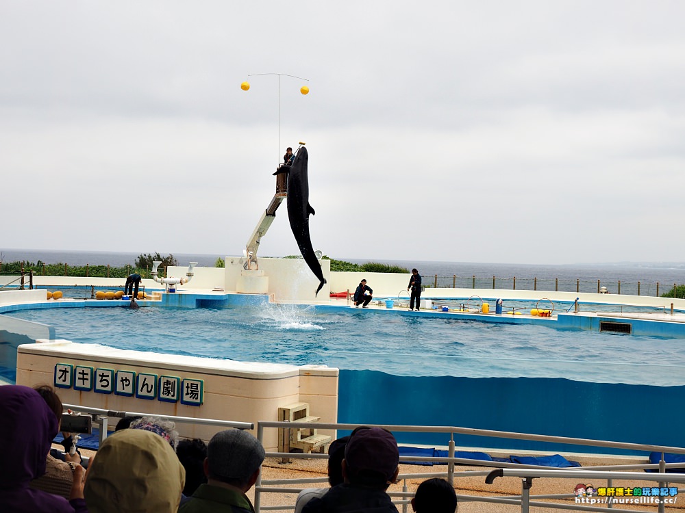 沖繩｜美麗海水族館（沖縄美ら海水族館）．如果沒來是不是少了些什麼？ - nurseilife.cc