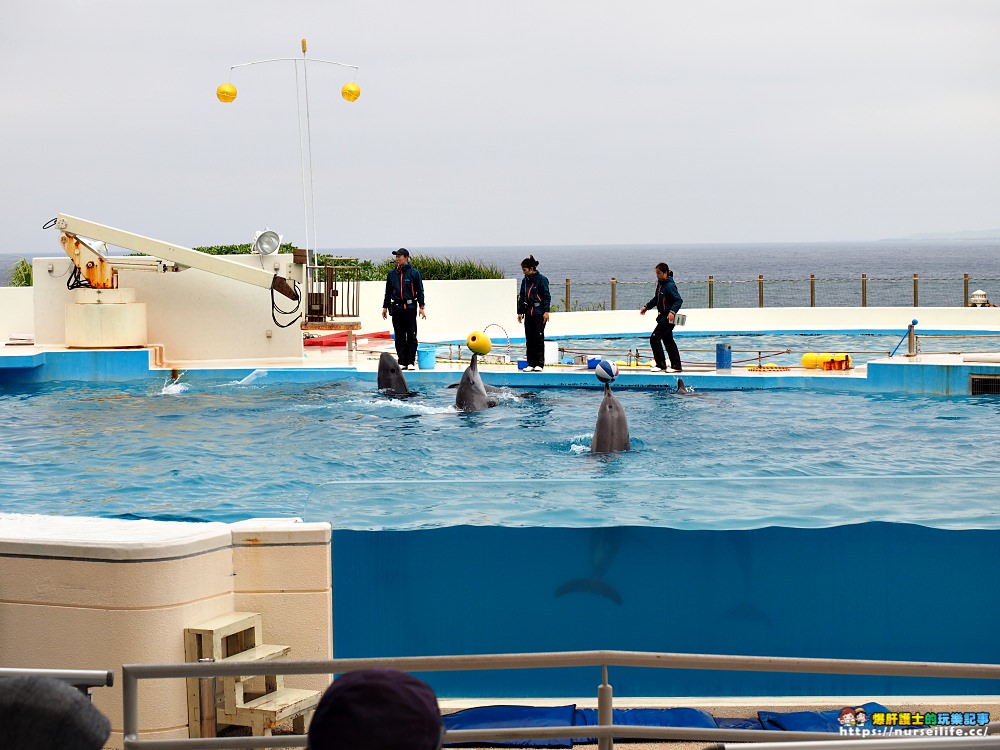 沖繩｜美麗海水族館（沖縄美ら海水族館）．如果沒來是不是少了些什麼？ - nurseilife.cc