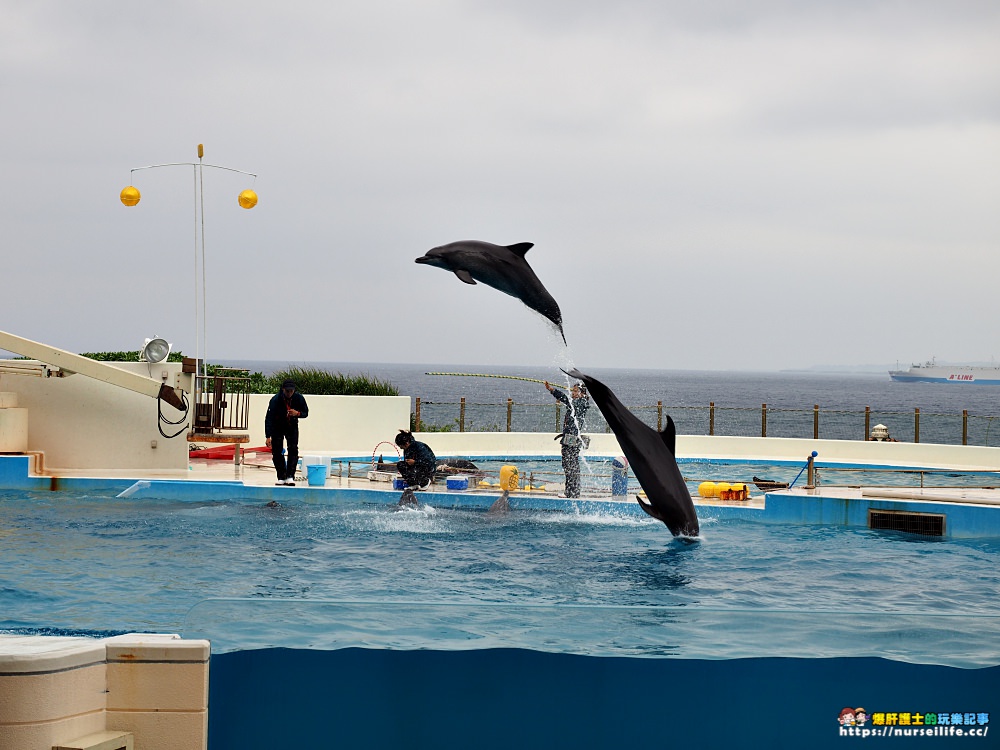 沖繩｜Hip-Hop觀光巴士．暢遊萬座毛、古宇利島、美海水族館、備瀨福木林道、御菓子御殿 - nurseilife.cc