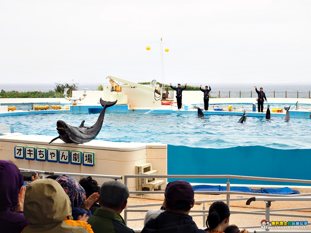 沖繩｜美麗海水族館（沖縄美ら海水族館）．如果沒來是不是少了些什麼？ - nurseilife.cc