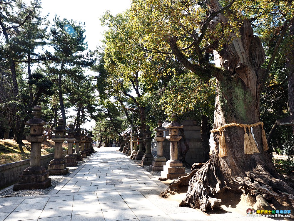 大阪｜住吉大社．在古老神社感受紅與藍的寧靜 - nurseilife.cc