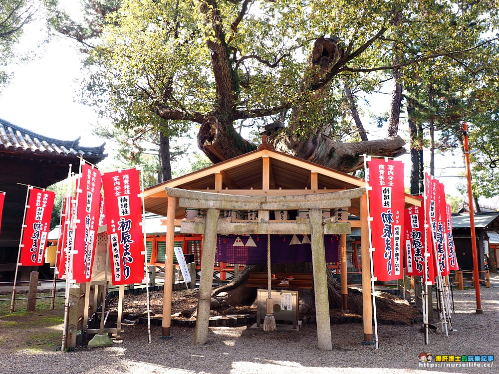 大阪｜住吉大社．在古老神社感受紅與藍的寧靜 - nurseilife.cc