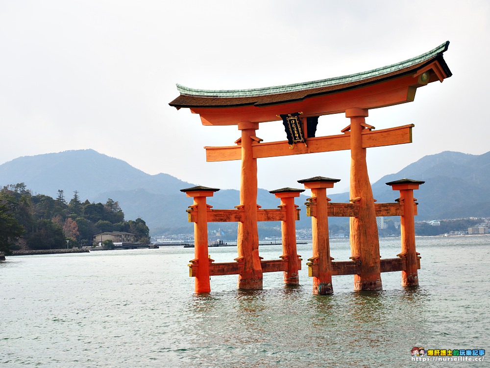 日本、廣島｜宮島嚴島神社再訪牡蠣之美．小心會吃JR pass的鹿 - nurseilife.cc