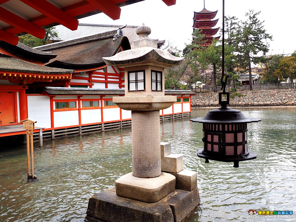 日本、廣島｜宮島嚴島神社再訪牡蠣之美．小心會吃JR pass的鹿 - nurseilife.cc