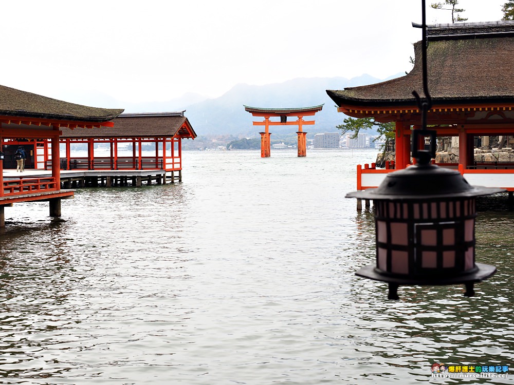 日本、廣島｜宮島嚴島神社再訪牡蠣之美．小心會吃JR pass的鹿 - nurseilife.cc