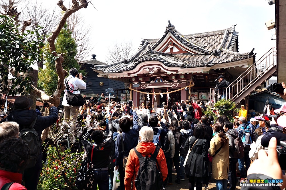 川崎｜金山神社鐵男根祭．日本最令人害羞的18禁祭典 - nurseilife.cc