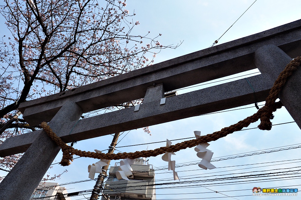 川崎｜金山神社鐵男根祭．日本最令人害羞的18禁祭典 - nurseilife.cc