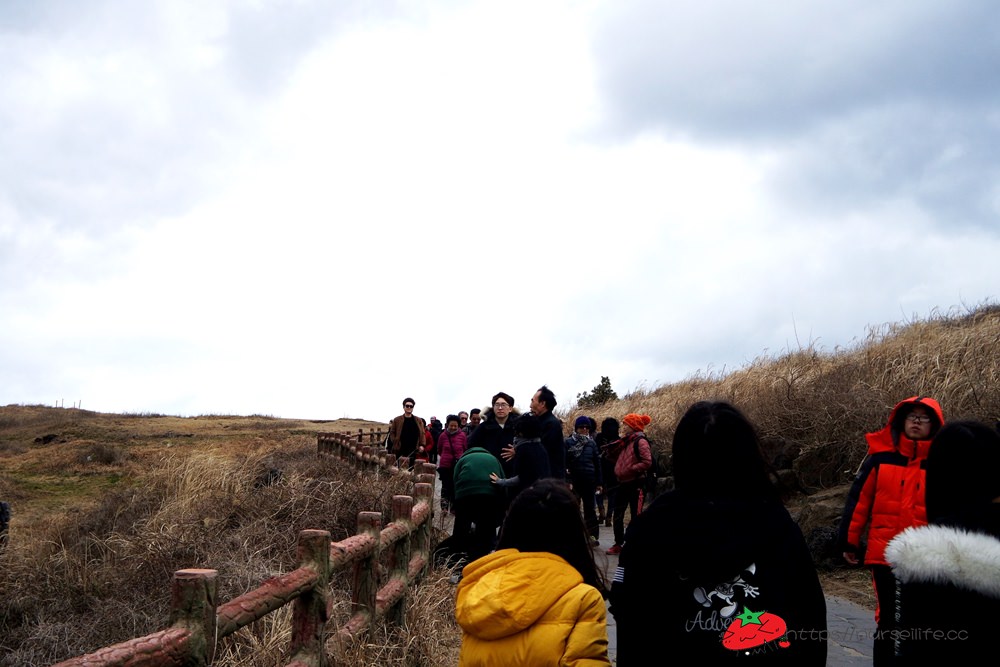 韓國、濟州島｜濟州島包車好easy．漢拿山、高空滑索、洞窟咖啡、涉地可支、城邑民俗村、城山日出峰一次滿足 - nurseilife.cc